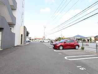 ハイパー桜の画像