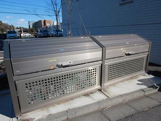 ハイパー桜の画像