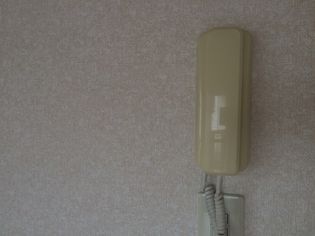 プライムローズの画像