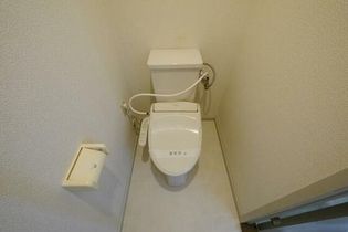 ニュースカイハイツの画像