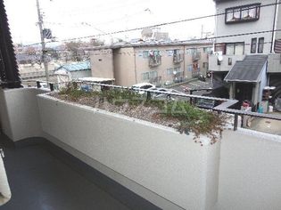 シベール桂泉の画像