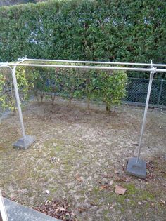 ベルグレイスの画像