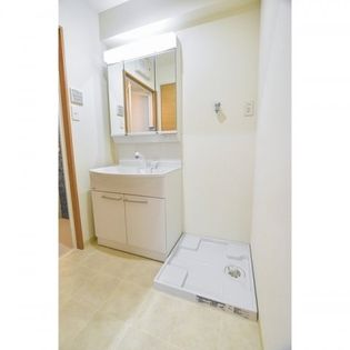 グレース本荘の洗面所