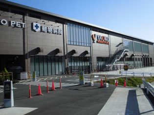 ヤオコー八王子鑓水店(スーパー)まで1136m