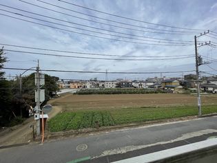 自然を感じる閑静な住宅地