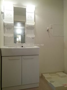 ブルーローズの画像