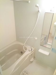 ブルーローズの画像