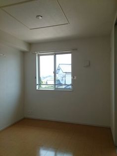 ブルーローズの画像