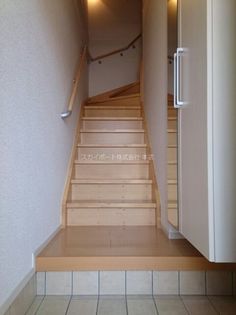 ブルーローズの画像