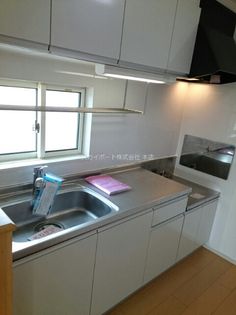 ブルーローズの画像