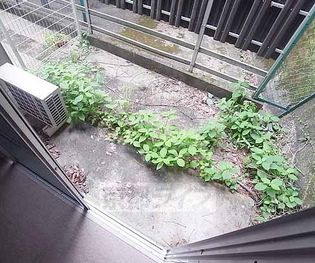 ハイツ白川の画像