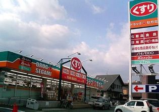 ドラッグセガミハートアイランド店(ドラッグストア)まで910m