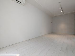 アレーロ自由が丘の別号室参考写真