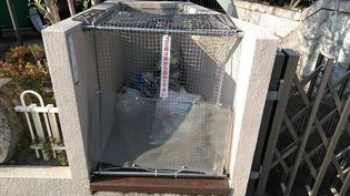 シャトー樹里の画像