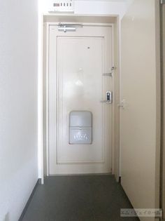 グリーンコートの画像