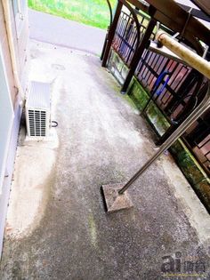 風雅の画像