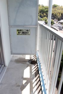 第2のぼりマンションの画像