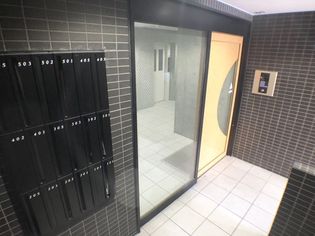 プリムローズの画像