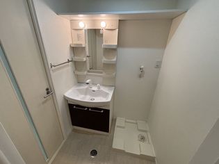 プリムローズの画像