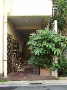 ウェザーコックコンノの画像