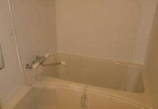 BUCKWHEAT TANAKAの画像