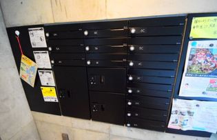 BUCKWHEAT TANAKAの画像