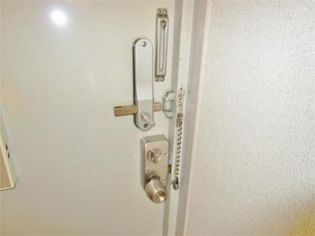 ルミニコスモスの画像