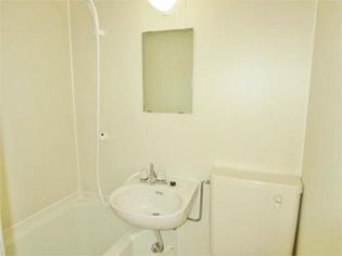 ルミニコスモスの画像