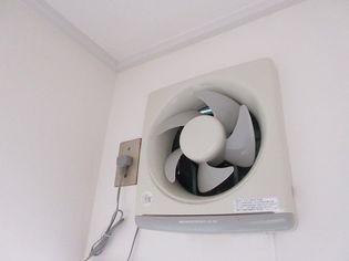 ノーブルの画像