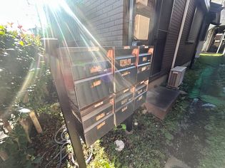 ベルードの画像