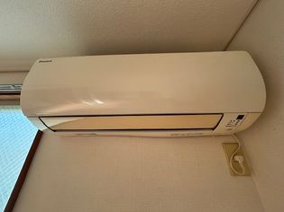 ベルードの画像