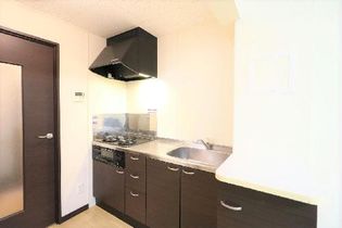 レオネクストイン園部のシステムキッチン完備でお料理好きの方におススメ!