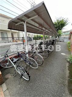 エルパラドールの画像