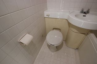 ダイアパレス横川公園の※別号室の写真使用