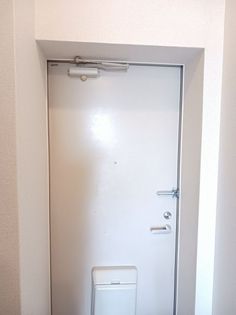 ラフィーネAの画像