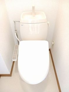 ラフィーネAの画像