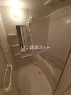 グレイスフルBの画像