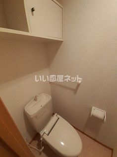 グレイスフルBの画像