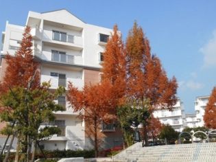 UR高槻・阿武山六番街の敷地内3