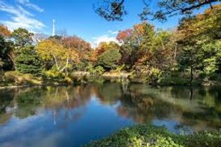 御成門緑地(公園)まで459m