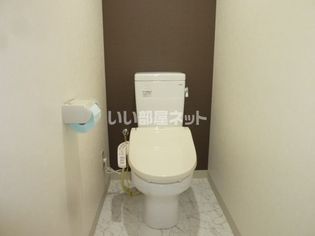 コーラルトップの画像