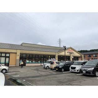 アルビス杜の里店(スーパー)まで500m
