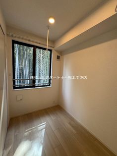 パピーズ須屋の画像