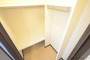 レオネクストモーニングローリーの画像