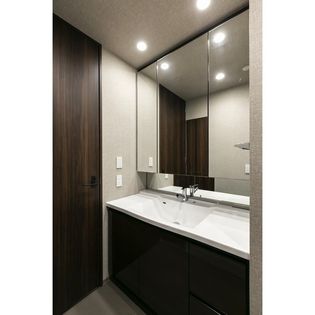 東京ポートシティ竹芝 レジデンスタワーの洗面※別部屋参考画像