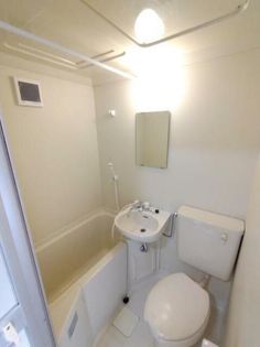 ルミニコスモスの画像