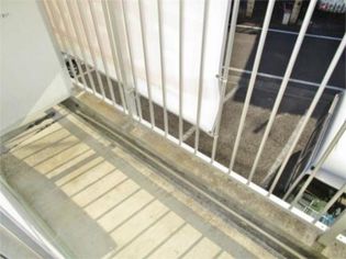 ルミニコスモスの画像