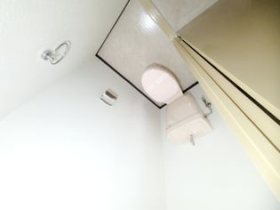 セントポーリアアビコの画像