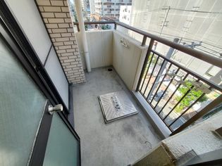 セントポーリアアビコの画像