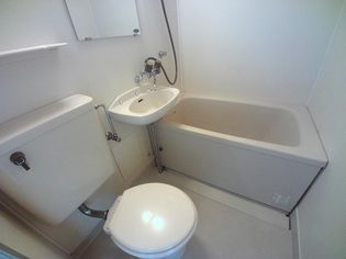 シティハイツVIPの画像